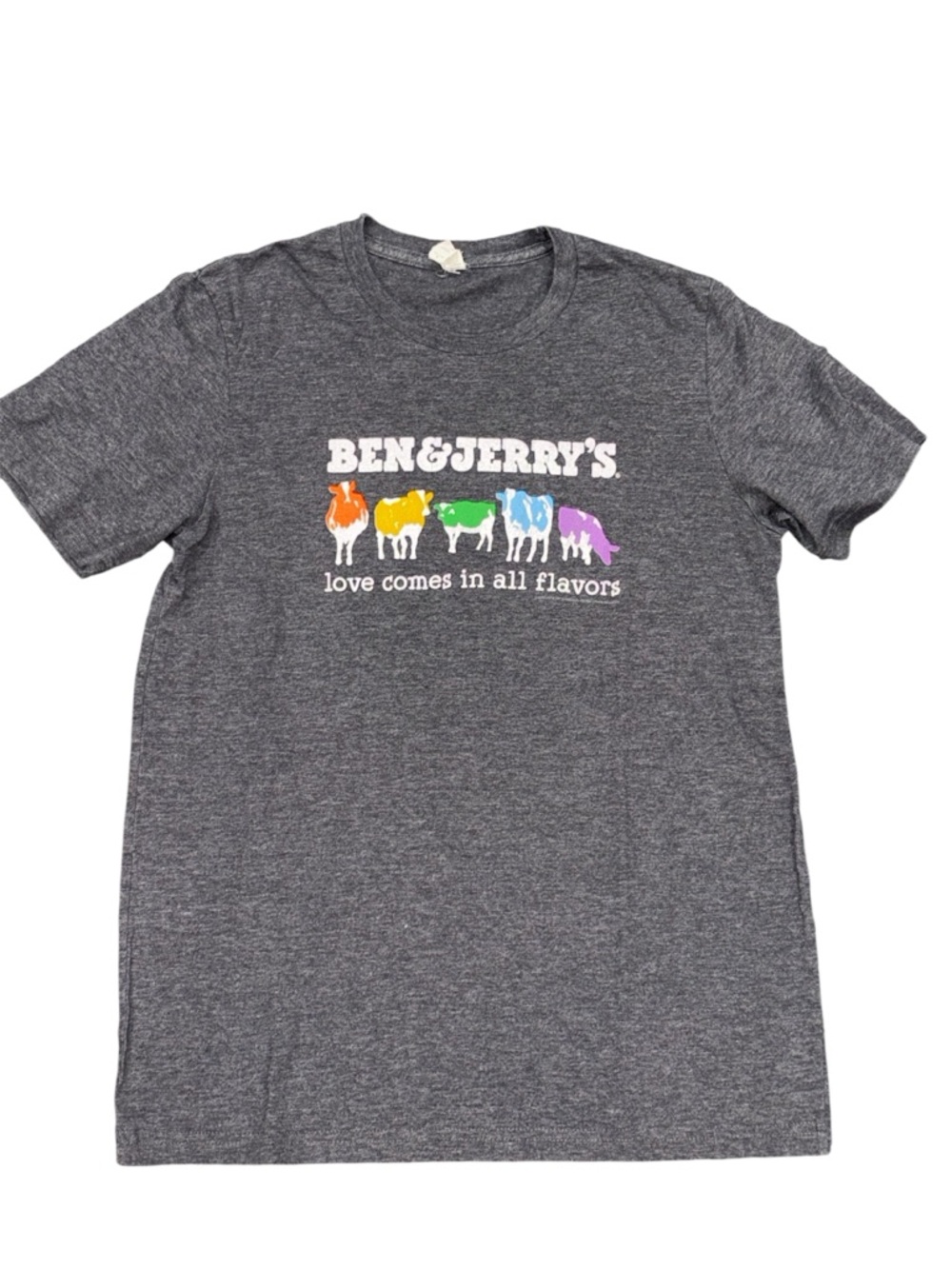 Ben & Jerry's Vintage Men’s Graphic Gray Rainbow Cow Logo Tee Size M